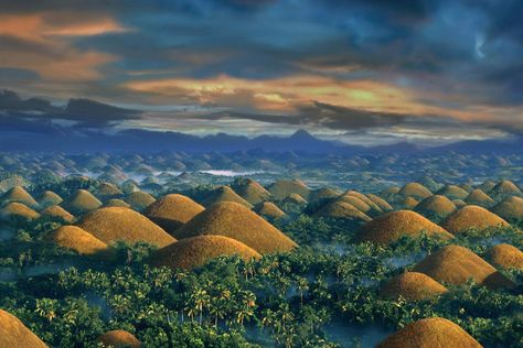 Palawan, Nature, Bohol, Bohol Chocolate Hills, Chocolate Hills, Bohol Philippines, Philippines Culture, Morning View, Philippines Travel