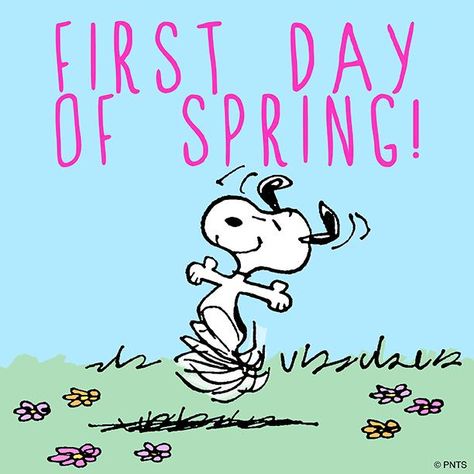 Happy Spring Day, 1st Day Of Spring, Cute I Love You, Quote Pictures, Happy Quote, Spring Quotes, Peanuts Cartoon, Letter Boards, Spring Pictures