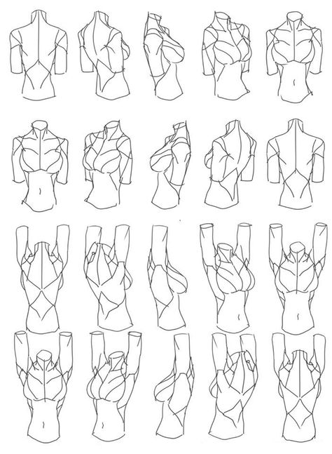 Arms raised Female Anatomy Reference, Female Torso, Female Drawing, Human Figure Drawing, Anatomy Sketches, Body Reference Drawing, Reference Sheet, 캐릭터 드로잉, Different Angles