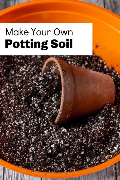 Diy Potting Soil, Grow Gorgeous, Natural Fertilizer, Succulent Soil, Canned Heat, Peat Moss, Orchid Care, Unique Plants, Potting Soil