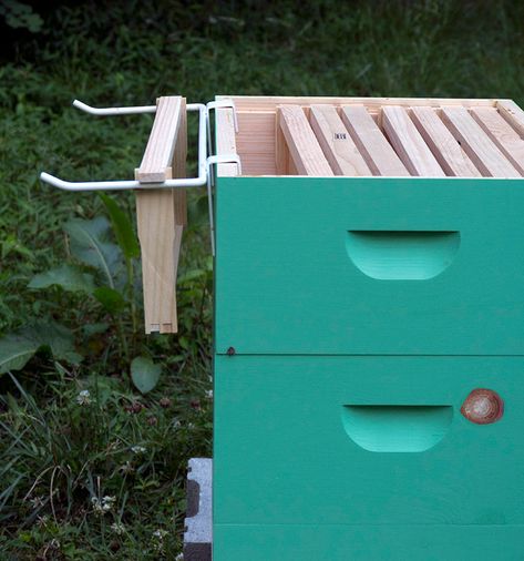 Honey Bees Keeping, Drone Bee, Plantarea Legumelor, Bee Hive Plans, Backyard Bee, Beekeeping For Beginners, Raising Bees, Bee Supplies, Beekeeping Equipment