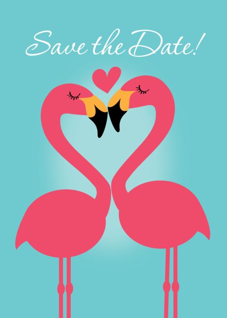 Wedding Announcements, Cute Flamingo, Wedding Announcement, Cute Wedding, Beach Color, Free Ecards, Lesbian Wedding, Save The Date Card, Marriage Ceremony