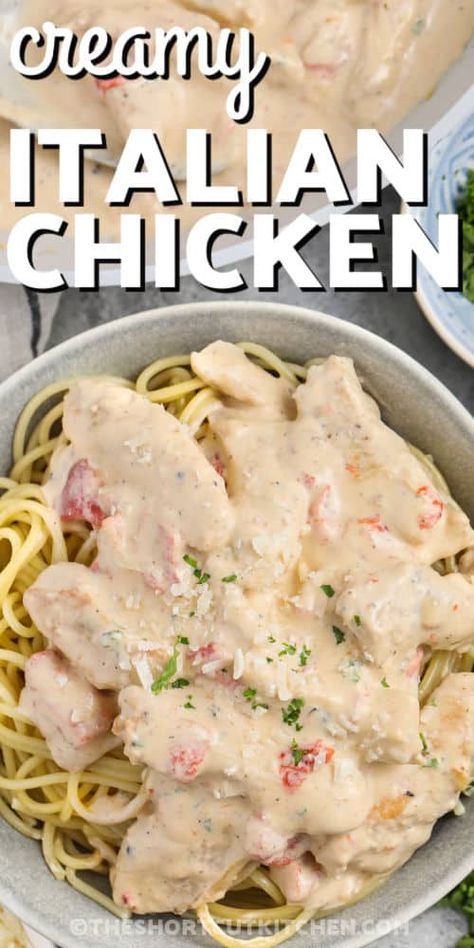 One Pan Recipe, Utah Food, Creamy Italian Chicken, Italian Chicken Recipes, Creamy Parmesan Sauce, Chicken Fettuccine, Pan Recipe, Protein Diet, Creamy Parmesan