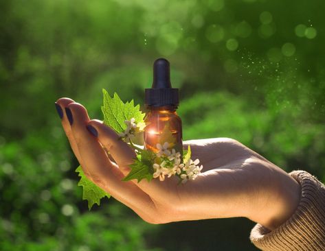 What Are Bach Flower Remedies? The 38 Bach Flower Remedies List with Uses #bach #bachremedy #bachflowerremedies #bachflowers #bachtherapy #flowertherapy #flowerremedies #floweressences Bach Flowers, Organic Aloe Vera Gel, Bach Flower Remedies, Mens Facial, Flower Remedy, Aromatherapy Blends, After Shave Balm, Flower Essences, Pore Cleansing