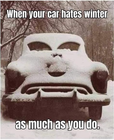 Winter Memes Humor, Cold Outside Humor, Cold Weather Funny, Cold Weather Quotes, Winter Jokes, Winter Humor, Snow Humor, Hate Winter, Daily Jokes