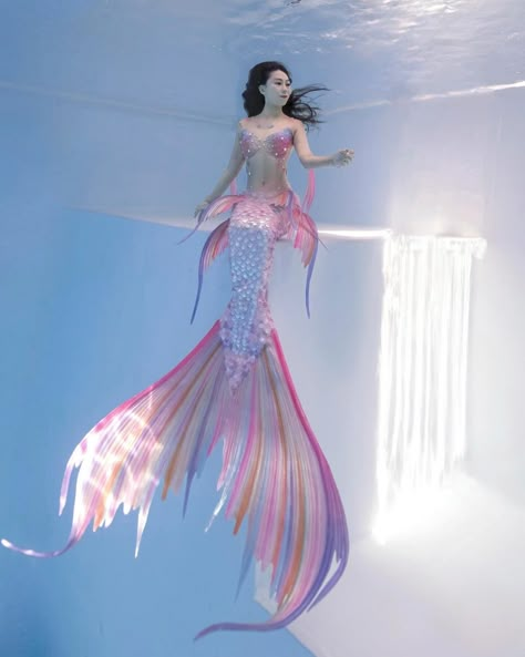 Mermaid Tail Poses, Mermaid Types, Mermaid Martini, Mermaid Tail Aesthetic, Mermaid Tails For Sale, Pink Hair Mermaid, Siren Tail, Mermaid Oc, Realistic Mermaid Tails