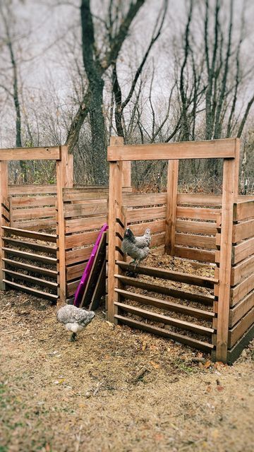 Pretty Compost Bin, Compost Pile Ideas, Compost Design, Compost Bin Ideas, Pallet Compost Bin, Chicken Composting, Compost System, Outdoor Compost Bin, Compost Bin Pallet