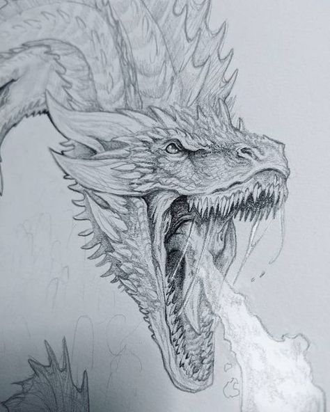 Realistic Dragon Drawing, Dragon Medieval, Realistic Dragon, Dragon Tattoo Art, Time God, Got Dragons, Dragon Artwork Fantasy, Targaryen Art, Asoiaf Art