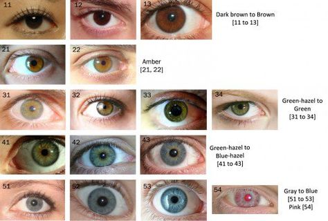 The human eye color chart: It could be useful or even interesting to navigate a spectrum of selected eye colors and shades to get an idea where one’s eye color falls. Eye Color Chart Genetics, Shades Of Brown Eyes, Rare Eye Colors, Eye Color Chart, Rare Eyes, Birth Colors, Hazel Color, Amber Eyes, Eye Chart