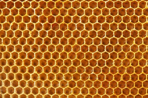 Background Of Honeycombs Structure | Stocksy United Bee Hive Structure, Honey Texture, March Backgrounds, Bee Photos, Diy Bee, Honey Art, Honeycomb Structure, Geometry In Nature, Bee Hives