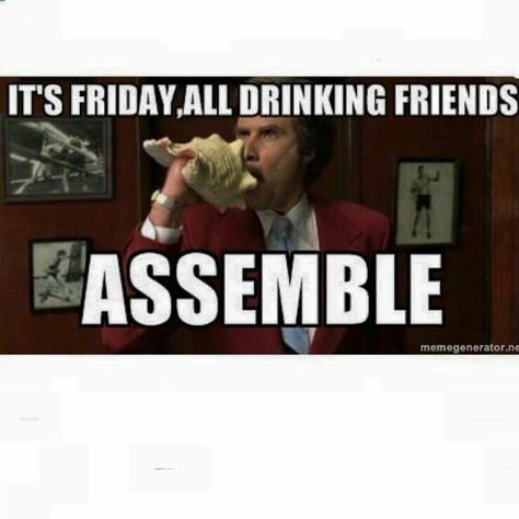 It's Friday all my drinking friends assemble Friday Drinking, Alcohol Memes, Drinking Friends, Bar Quotes, Drinking Memes, Life Sayings, Anchorman, Drinking Quotes, New York Trip