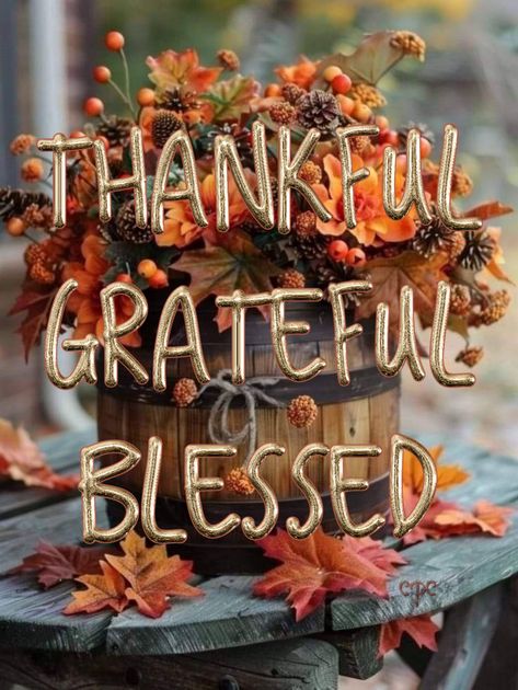 Fall Monday Morning Quotes, Sunday Fall Morning Quotes, Autumn Monday Quotes, Autumn Blessings, November Coffee Quotes, Happy Monday Fall Images, Autumn Weekend Quotes, Thanksgiving Iphone Wallpaper, November Quotes