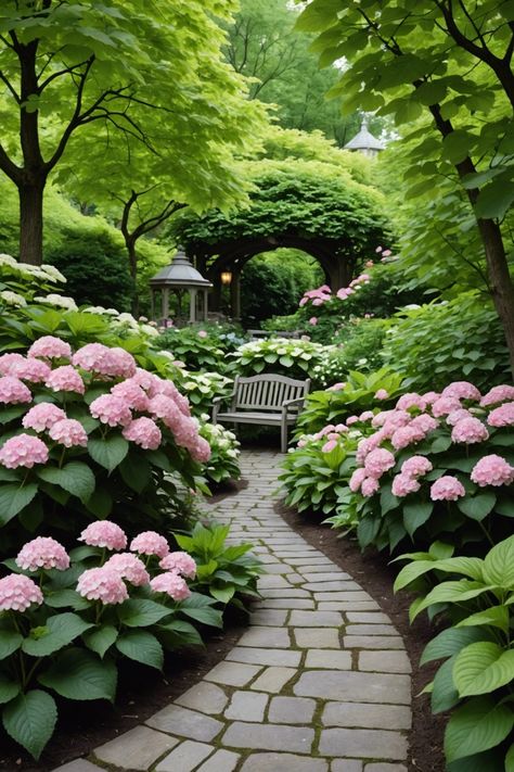 Flower Garden Hydrangea, Large Hostas Landscaping, Mixed Hydrangea Garden, Hydrangea And Hostas Landscaping, Hydrangea And Hosta, Magnolia Landscaping, Hosta Landscaping, Hostas Landscaping, French Garden Design