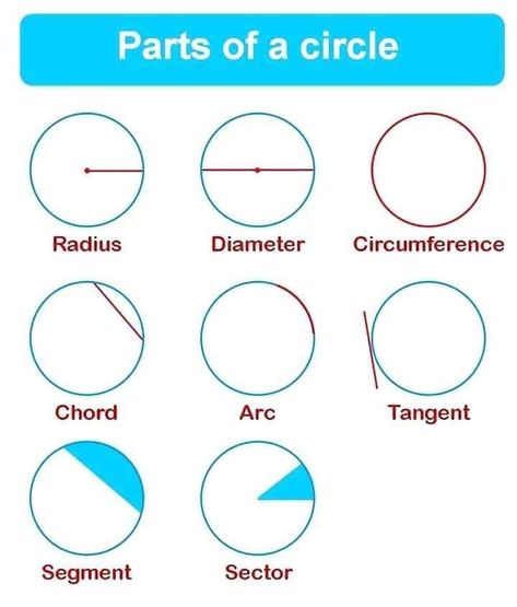 Maths Geometry, Parts Of A Circle, Teaching Math Strategies, Math Quotes, Math Charts, Learning Mathematics, Study Flashcards, Iit Jee, Math Tutorials