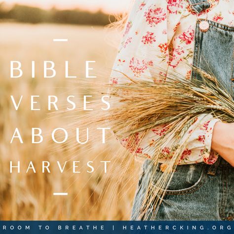 Christian Harvest Quotes, Harvest Time Quotes, Harvesting Quotes, Harvest Bible Lessons For Kids, Harvest Bible Verses, Harvest Scripture, Kids Bible Study Activities, Harvest Quotes, Harvest Bible