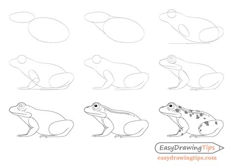 How to Draw a Frog Step by Step Tutorial - EasyDrawingTips Frog Tutorial Drawing, How To Draw A Frog Step By Step, Frog Drawing Step By Step, How To Draw A Frog, Draw A Frog Easy, Chalk Animals, Drawing A Frog, Frog Draw, Draw A Frog