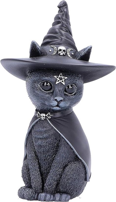 Wild Star, Witch Figurines, Anne Stokes, Dark Angels, Small Skull, Witches Hat, Witch Cat, Black Kitten, Steampunk Design