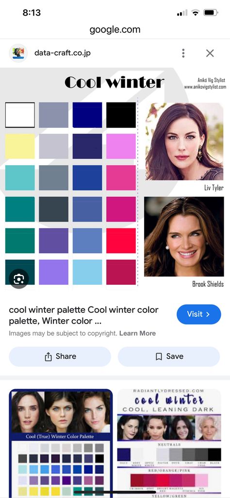 Cold Winter Color Palette, Winter Color Pallet, True Winter Color Palette, Winter Color Palette, True Winter, Liv Tyler, Winter Color, Winter Colors, Color Pallets