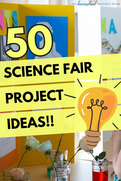 Fun Science Fair Projects Middle School, Comparison Science Fair Projects, Jr High Science Fair Projects, 7 Grade Science Fair Projects, Aesthetic Science Fair Projects, Candy Science Fair Projects, 6 Grade Science Fair Projects Ideas, Science Fair Projects For 5th Grade, High School Science Fair Projects Biology Experiment