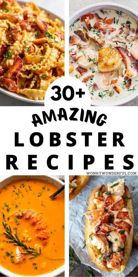 Recipes With Lobster, Lobster Pizza, Lobster Tacos, Lobster Roll Recipes, Lobster Pasta, Lobster Dishes, Lobster Recipes Tail, Lobster Dinner, Lobster Mac