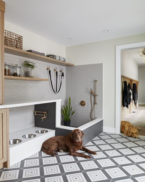 Flex Space Ideas, Dröm Hus Planer, Dog Room Design, Laundry Room Organization Ideas, Room Organization Ideas, Dog Washing Station, Dream Laundry Room, Dog Spaces, Dream Life House