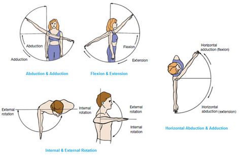 Muscles That Move the Arm Shoulder Movement, Muscle Fibers Anatomy, Shoulder Movement Anatomy, Muscles Of The Upper Extremities, Arm Muscle Diagram, Origin And Insertion Of Muscles, How To Study Anatomy, Ace Study, Upper Limb Muscles Origin Insertion