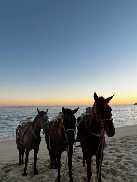 Cabo Vacation Aesthetic, Cabo Mexico Aesthetic, Cabo Aesthetic, Cabo Spring Break, Bachelorette Vibes, Cabo Trip, Cabo Wabo, Cabo Resorts, Mexico Photos