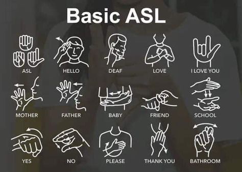 Basic Asl, Simple Sign Language, Asl Sign Language Words, Sign Language Chart, Aomine Kuroko, Sign Language Phrases, Sign Language Words, Asl Learning, Alphabet Code