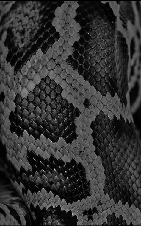 Snakeskin Wallpaper, Snake Drawing, Snake Wallpaper, Scale Tattoo, Motion Wallpapers, Nature Iphone Wallpaper, Witchy Wallpaper, Wallpaper Red, Samsung Galaxy Wallpaper