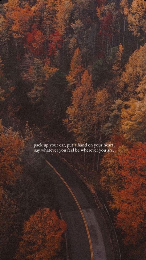 Nature, You Can Miss Them And Still Choose Peace, Fall Background With Quote, Fall Wallpaper Aesthetic Quotes, Noah Kahan Fall Wallpaper, Late Summer Wallpaper Aesthetic, Aesthetic Pictures For Wall Collage Quotes, Autumn Motivation Wallpaper, Fall Quotes Aesthetic Wallpaper