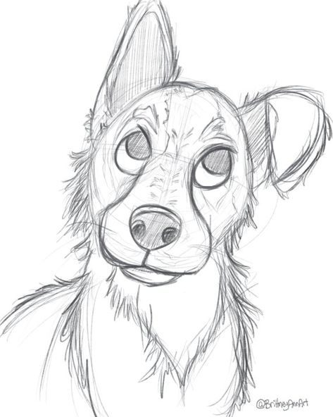 Disney Dog Sketch, Drawing Of Dogs Easy, Cartoon Dog Eyes, Dogs Drawing Easy, Drawing Dogs Easy, Dog Drawings Easy, Dog Sketch Cartoon, Disney Dogs Drawing, Dog Eyes Drawing