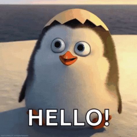 Hello There Private From Penguins Of Madagascar GIF - HelloThere PrivateFromPenguinsOfMadagascar Hi - Discover & Share GIFs Pinguin Meme, Hi Gif, Jump Animation, Waving Gif, Hello Good Morning, Hello Sticker, Hello Gif, Hello Memes, Animiertes Gif