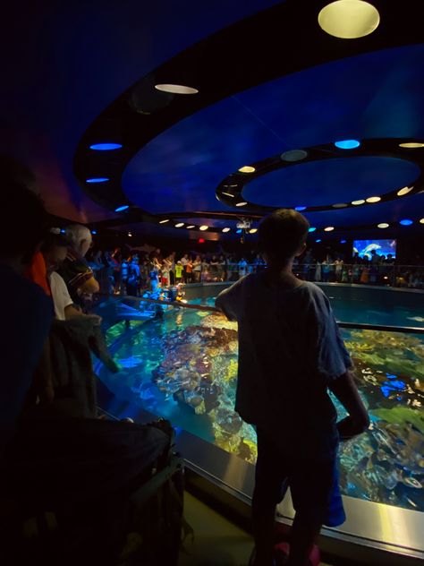 new england aquarium aesthetic summer Boston Aquarium, Aquarium Aesthetic, Public Aquarium, New England Aquarium, Aesthetic Summer, Dnd Characters, New Yorker, New England, Dates