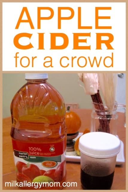 Apple Cider Recipe Using Apple Juice, Apple Cider Recipe With Apple Juice, Apple Cider With Apple Juice, Apple Cider From Apple Juice, Apple Cider Easy, Easy Apple Cider Recipe, Hot Apple Juice, Crockpot Apple Cider, Cold Apple Cider