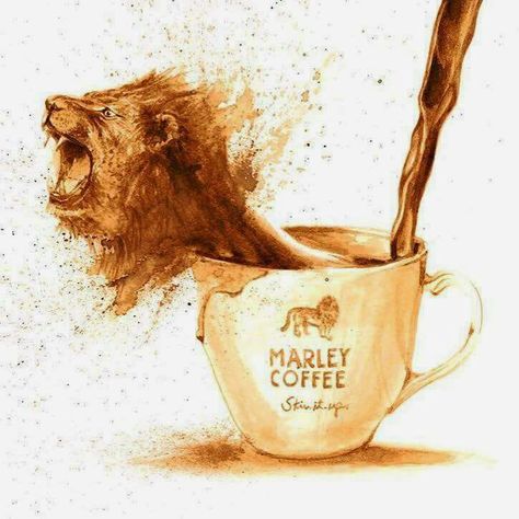 Organic Marley Coffee, Stir it up. Valentus Coffee, Marley Coffee, Lion Coffee, Functional Beverage, Roast Coffee, Coffee Pictures, Like A Lion, Arabica Coffee, Interesting Photos