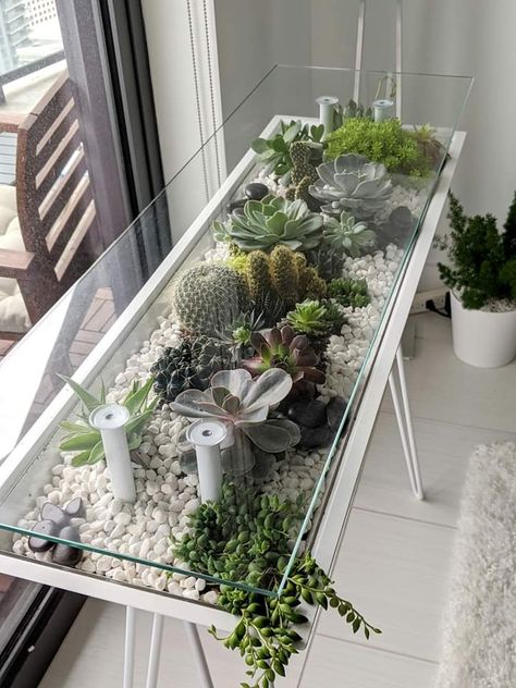 Home Interior Design 2023, Modern Indoor Plants, Indoor Plants Decor Ideas, 2023 Home Interior, Terrarium Table, Plant Experiments, Indoor Plants Decor, Key House, Home Decor Aesthetic