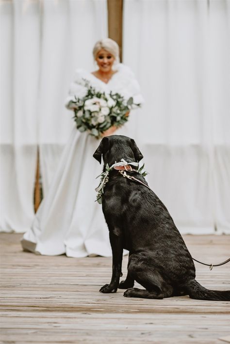 Bride has 'first look' photo shoot with her beloved dog Dog Wedding Photos, Dog Wedding Outfits, Photos With Dog, Wedding Pets, Wedding Photos Poses, Dog Wedding, Wedding Photography Poses, Wedding Photo Inspiration, Wedding Shots