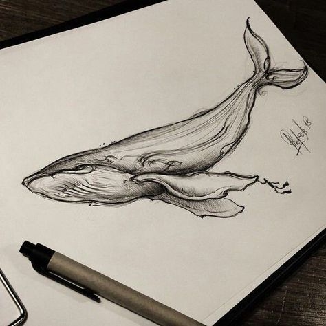 Whale Sketch, Trippy Tattoo Ideas, Trippy Tattoo, Whale Drawing, Shark Drawing, Pen Art Work, Animal Drawings Sketches, Pen Art Drawings, Whale Art