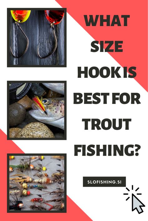 Fishing Hooks and Gear: What Size Hook is Best for Trout Fishing? [Choose Correctly] Trout Fishing Gear, Saltwater Fishing Gear, Fish Types, Trout Fishing Lures, Fishing Basics, Diy Fishing Lures, Trout Fishing Tips, Diy Fishing, Fishing For Beginners