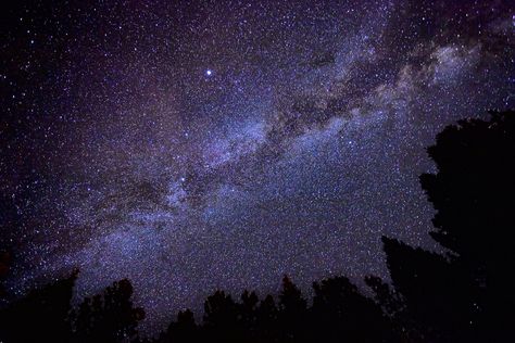 MIDNIGHT SKY | Midnight Forest by BenDiAnna Deep Thinker, Midnight Forest, Summer Lighting, The Witching Hour, Mid Night, The Moon And Stars, Guys Night, Witching Hour, Nocturnal Animals