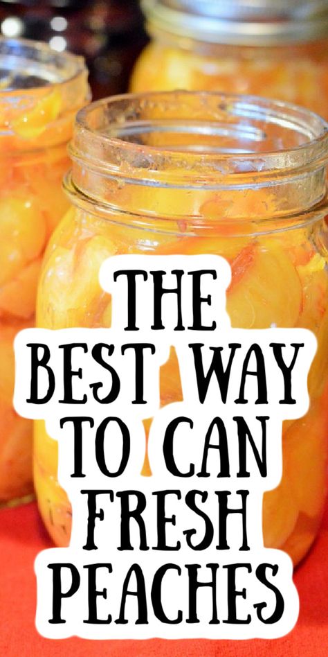 How To Can Peaches Without A Canner, Recipe For Canning Peaches, Canning Fresh Peaches Recipes, Canning Peaches In Water, Fresh Peach Canning Recipes, Preserving Fresh Peaches, Pressure Canning Peaches, Ball Canning Peach Recipes, How To Preserve Fresh Peaches