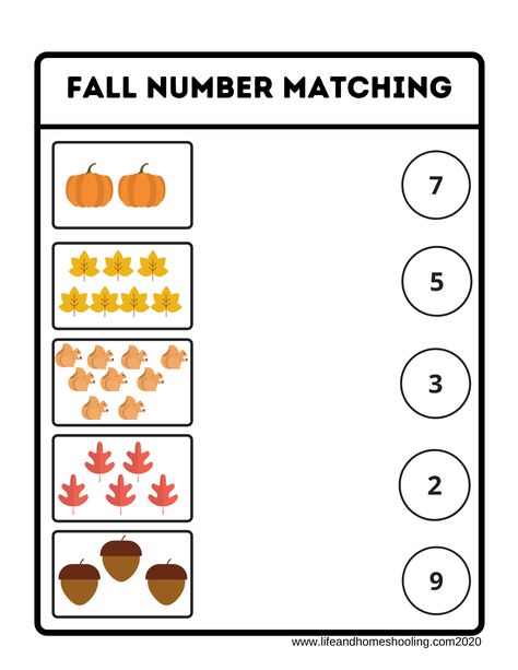 FREE pages available!! Click here and print free samples of our kindergarten matching number activity worksheets fall themed. Math Worksheets Preschool, Fall Math Worksheets, Fall Worksheets, Preschool Fall, Numbers Worksheets, Fall Preschool Activities, Matching Worksheets, Fall Math, Preschool Math Worksheets