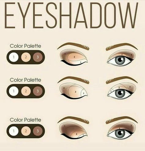 African American Eye Makeup, Eye Shadow Guide, Basic Eye Makeup, Eye Makeup Guide, Hazel Eye Makeup, Makeup Order, Natural Make Up Looks, Beginners Eye Makeup, Simple Makeup Tips