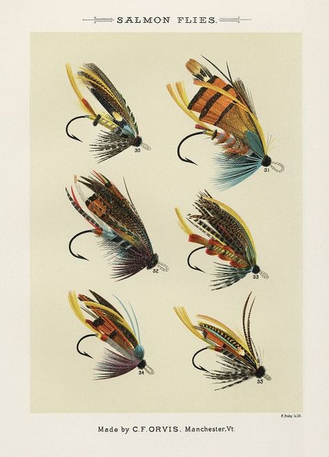 Salmon Fliee. Digitally enhanced from our own original 1892 edition of Favorite Flies and Their Histories by Mary Orvis Marbury. | free image by rawpixel.com Vintage Fly Fishing, Fishing Poster, Fly Fishing Art, Fishing Art, Fly Fishing Lures, History Posters, Fish Illustration, Fishing Flies, Salmon Flies