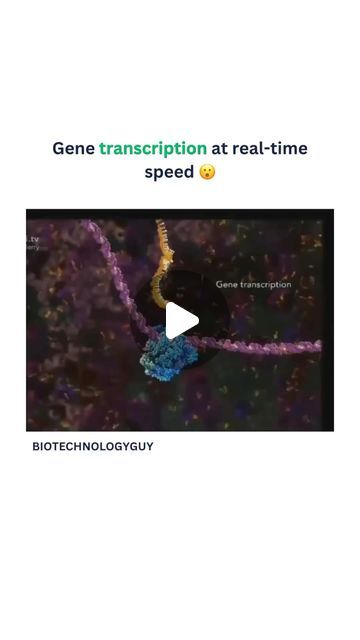 Rna Transcription, Dna Transcription, Amazing Video, Transcription, Biotechnology, March 21, The Process, Real Time, Cool Gifs