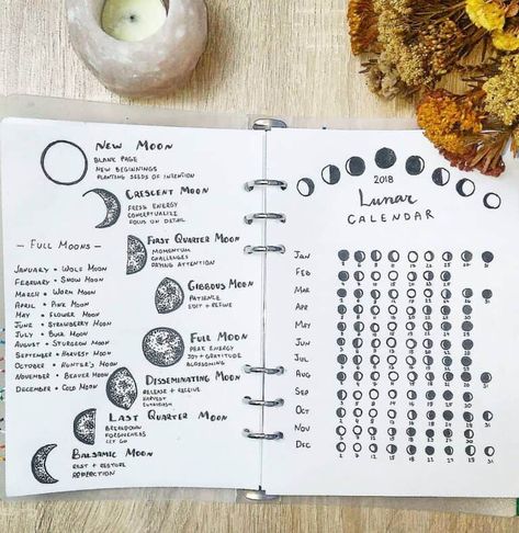 25+ Stellar Moon Phase Spreads for your bullet journal | My Inner Creative The Moon Phases, Moon Journal, Grimoire Book, Spiritual Journals, Moon Calendar, Lunar Calendar, Bullet Journal Notebook, Bullet Journal Spread, Creative Journal