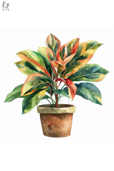 11 Autumn House Plant Potted Watercolor Clipart, Printable Digital Art for Crafts, Home Decor, Scrap Plant Painting Acrylic, Plants Painting, Autumn House, Plant Watercolor, House Plant Pots, Nature Watercolor, Watercolor Plants, Big Plants, Watercolor Flower Art