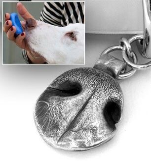 Dog Momentos, Tattoo Memorial, Dog Shadow Box, Dog Nose Print, Dogs Tattoo, Tattoo Dog, Astuces Diy, Dog Nose, Dog Crafts