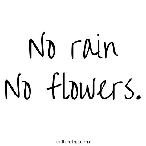 No Rain No Flowers Quote, Quotes Rain, Stone Quotes, Wedding Flower Ideas, Small Quote Tattoos, Small Quotes, No Rain No Flowers, No Rain, Tumblr Quotes