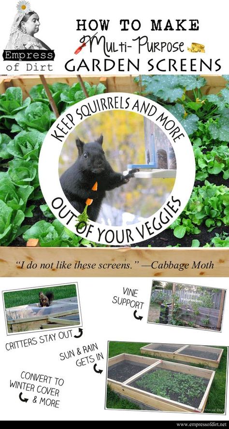 DIY Multi-Purpose Garden Screens Garden Screens, Garden Screen, Garden Vines, Garden Screening, Garden Veggies, Garden Pests, Garden Structures, Veggie Garden, Farm Gardens